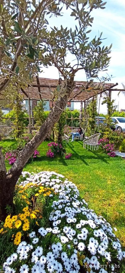 La Villa Degli Dei - Guest House Castellammare di Stabia Buitenkant foto