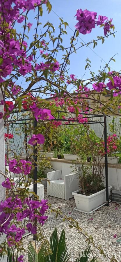 La Villa Degli Dei - Guest House Castellammare di Stabia Buitenkant foto