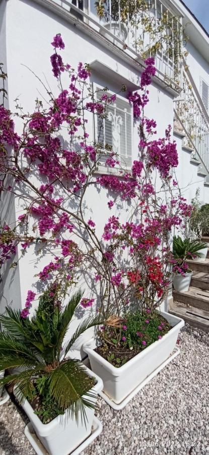 La Villa Degli Dei - Guest House Castellammare di Stabia Buitenkant foto